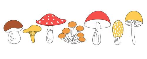 Porcini mushroom, chanterelle, honey fungus, fly agaric, edible and inedible mushrooms for various autumn and culinary designs. Set of cute mushrooms in vector doodle style, isolated.