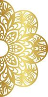 Luxury Mandala Background vector