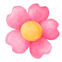 Pink flowers watercolor png