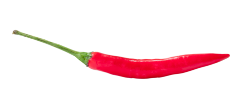 Front view of fresh red chili or pepper isolated with clipping path in png file format. Hot spices