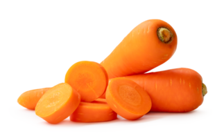 Two fresh orange carrots with slices in stack isolated with clipping path and shadow in png file format Close up of healthy vegetable root