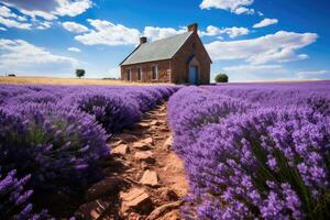 lavender field nature landscape AI Generated photo