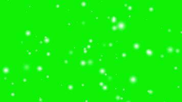 cenas partícula neve branco dentro verde tela fundo video