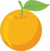 orange frukt tecknad serie illustration, transparent bakgrund png