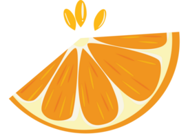 orange frukt tecknad serie illustration, transparent bakgrund png