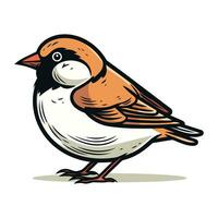 Sparrow. Hand drawn vector illustration isolated on white background.