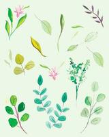 Watercolor various spring leaves and flowers, isolated, vector. vector