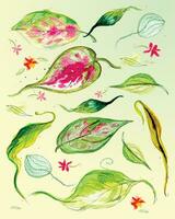 Watercolor variety of green leaves and pink flowers, isolated, vector. vector