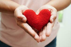 Asian woman holding human internal organ model, donation charity volunteer concept. photo