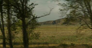 view from the car window on the field video