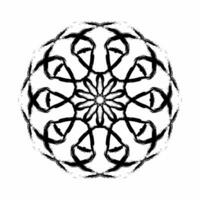 black and white floral kaleidoscope design vector