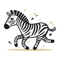 Zebra vector illustration. Isolated zebra on white background.