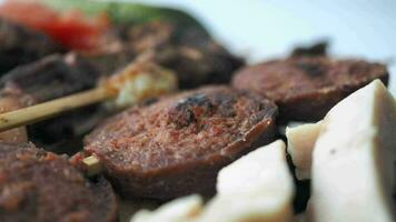 Churrasquinho, tradicional turco carne Comida com salada em uma prato . video