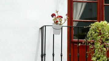 Close up typical Andalusian balcony video