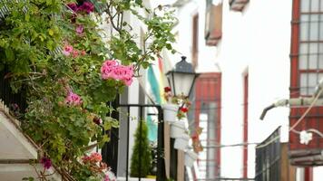 Balconies in Andalusia, Spain video