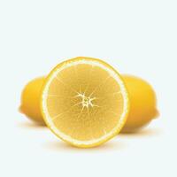 lemons on white vector