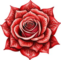 red rose watercolor. AI Generated png