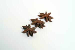 three star anise bunga lawang Illicium verum kembang lawang pekak with white background side view photo