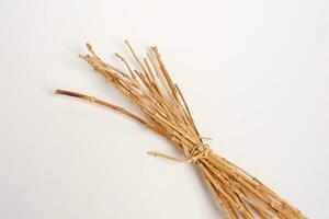 cogon grass alang alang kering rumput Imperata cylindrica closeup top view photo