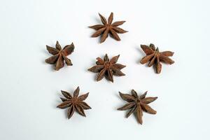 six star anise bunga lawang Illicium verum kembang lawang pekak with white background photo