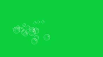 burbujas haciendo partícula animación, burbujas flotante alrededor en el aire cubrir efecto en verde pantalla antecedentes video