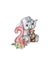 Aquarell Hand gezeichnet klein Baby Elefant mit Dahlie Blumen und Zahlen Komposition. png