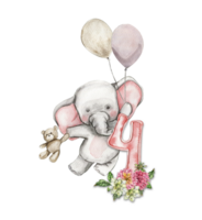 Watercolor hand drawn small baby elephant with dahlia flowers and numbers composition. png