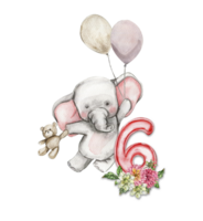 Aquarell Hand gezeichnet klein Baby Elefant mit Dahlie Blumen und Zahlen Komposition. png