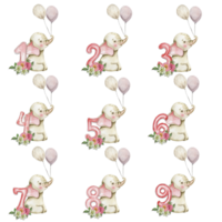 Watercolor hand drawn small baby elephant with dahlia flowers and numbers composition. png