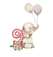 Watercolor hand drawn small baby elephant with dahlia flowers and numbers composition. png