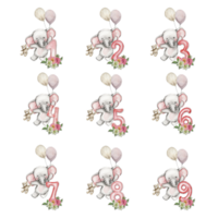 Aquarell Hand gezeichnet klein Baby Elefant mit Dahlie Blumen und Zahlen Komposition. png