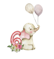 waterverf hand- getrokken klein baby olifant met dahlia bloemen en getallen samenstelling. png