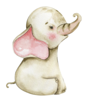 Watercolor hand drawn cute small baby elephant. png