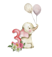 Watercolor hand drawn small baby elephant with dahlia flowers and numbers composition. png