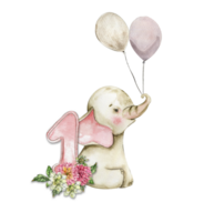 Watercolor hand drawn small baby elephant with dahlia flowers and numbers composition. png