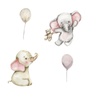 Watercolor hand drawn cute small baby elephant. png