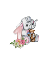 Aquarell Hand gezeichnet klein Baby Elefant mit Dahlie Blumen und Zahlen Komposition. png