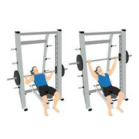 Man doing smith machine incline bench press exercise. vector