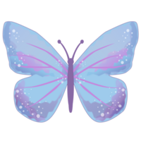 blue butterfly illustration png