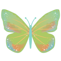 green butterfly illustration png