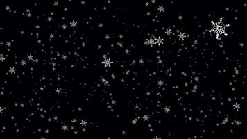 Loop white star snowflakes particles animation on black background video