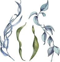 acuarela verde, azul hojas aislado en blanco. gótico floral, follaje conjunto botánico ilustración mano dibujado. gótico oscuro Boda decoración en Clásico estilo. elemento para invitación, fondo vector