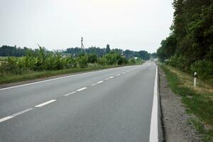 Empty asphalt road and floral field of different grass and flowers in evening time photo