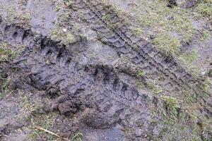 Wheel track on mud. Traces of a tractor or heavy off-road car on brown mud in wet meadow photo