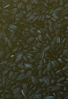 A pattern of many unprocessed fried sunflower seeds in a black shell. photo