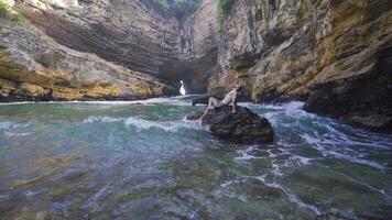 Young man in undulating sea cave. video