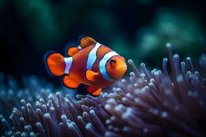 Clownfish Marine Life Anemone Reef. Neural network AI generated photo
