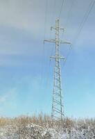 The power line tower is located in a marshy area, covered with snow. Large field of yellow bulrushes photo