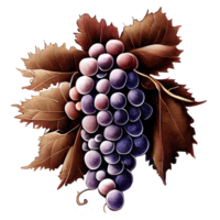 illustration of grapes and leaf AI Generated png