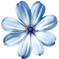 Flower Daisy cut out, AI Generative png